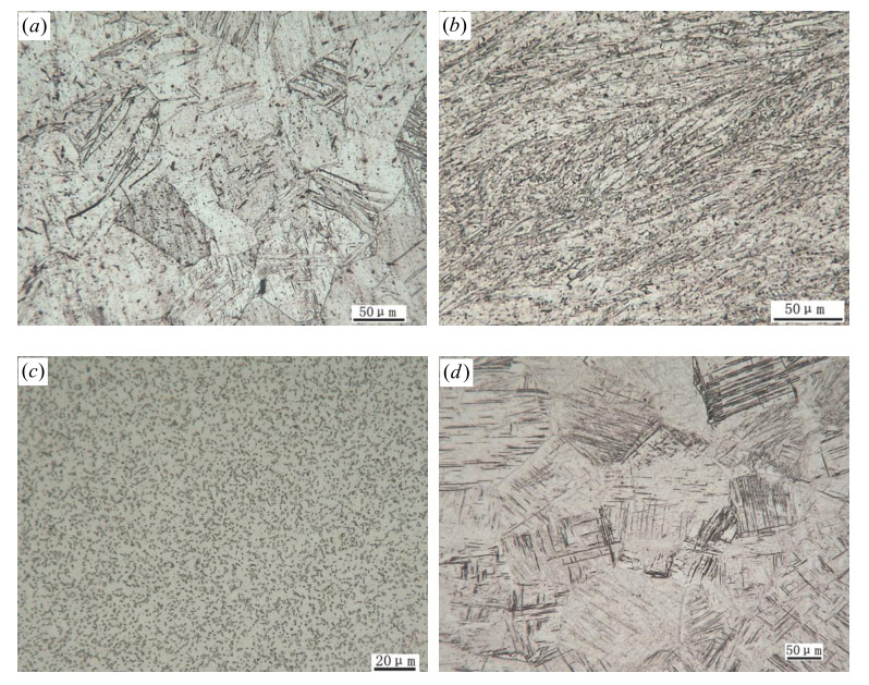 純鈦及 TC4 鈦絲拔制前后組織 純鈦及 TC4 鈦絲拔制前后組織