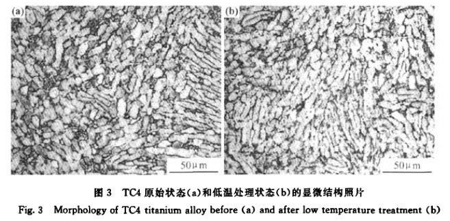 1647073197305838.jpg 3.jpg