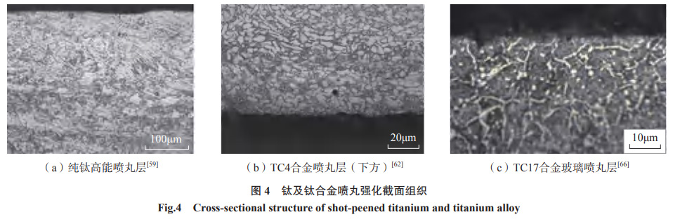 1652567970442348.jpg t4.jpg