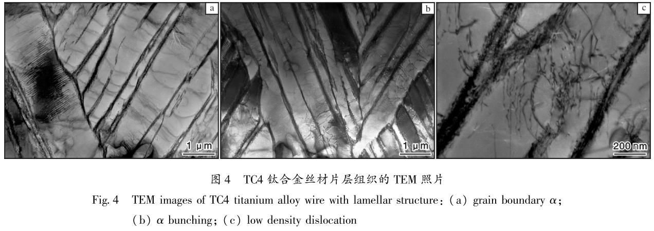 1688396429722080.jpg 360截圖16530711234434.jpg