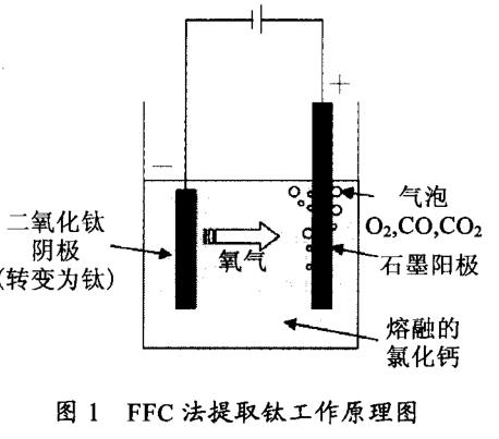 1695656200895069.jpg t1.jpg