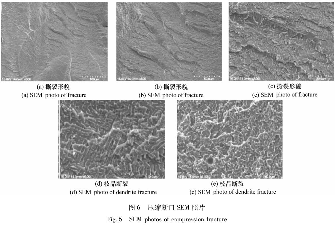 1701695962927067.jpg t6.jpg