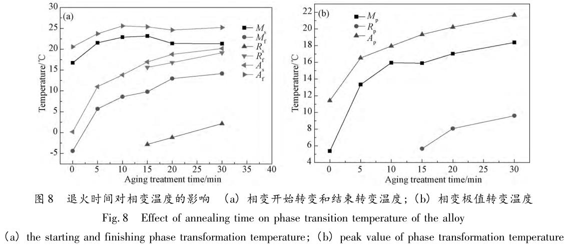 1706136165863573.jpg t8.jpg