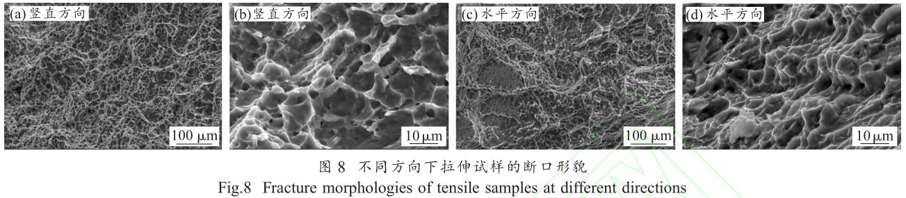 1706191547605034.jpg t8.jpg