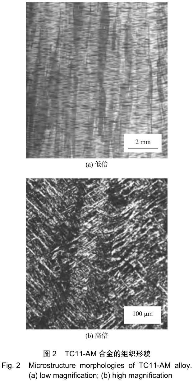 1706222793210816.jpg t2.jpg