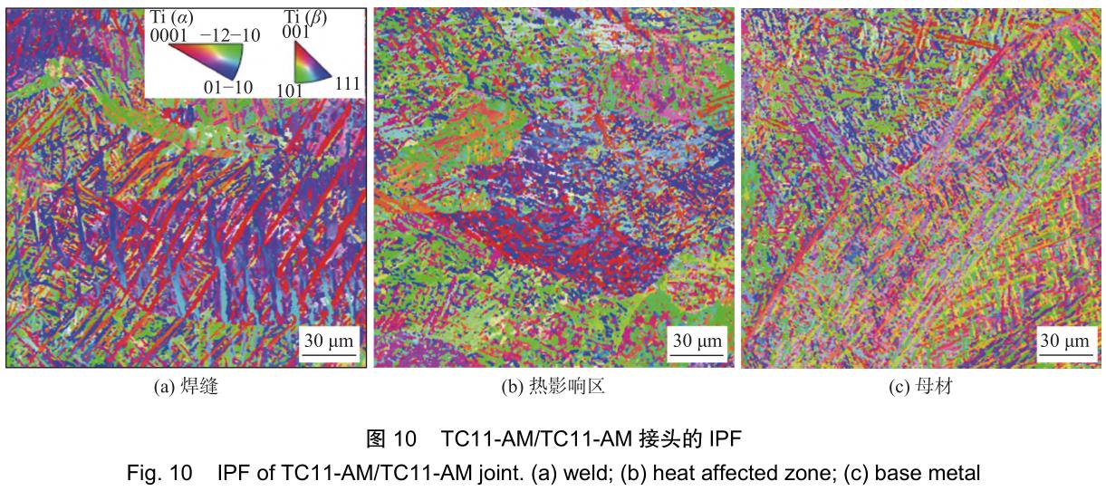 1706222958943044.jpg t10.jpg