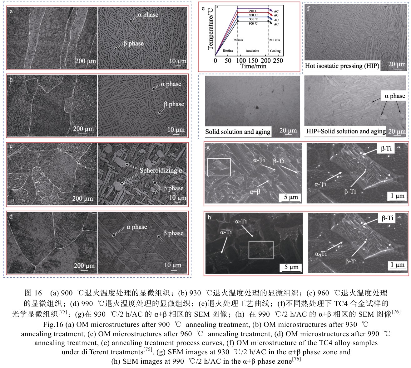 1715137013677474.jpg t16.jpg