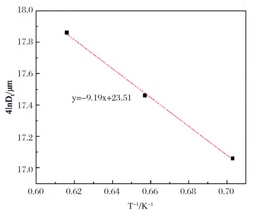 1720362386357504.jpg 5.jpg