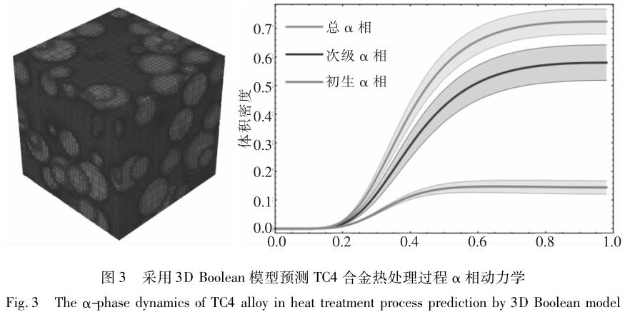 1721381336421486.jpg t3.jpg