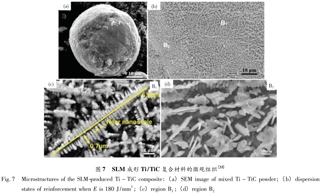 1721614718124332.jpg t7.jpg