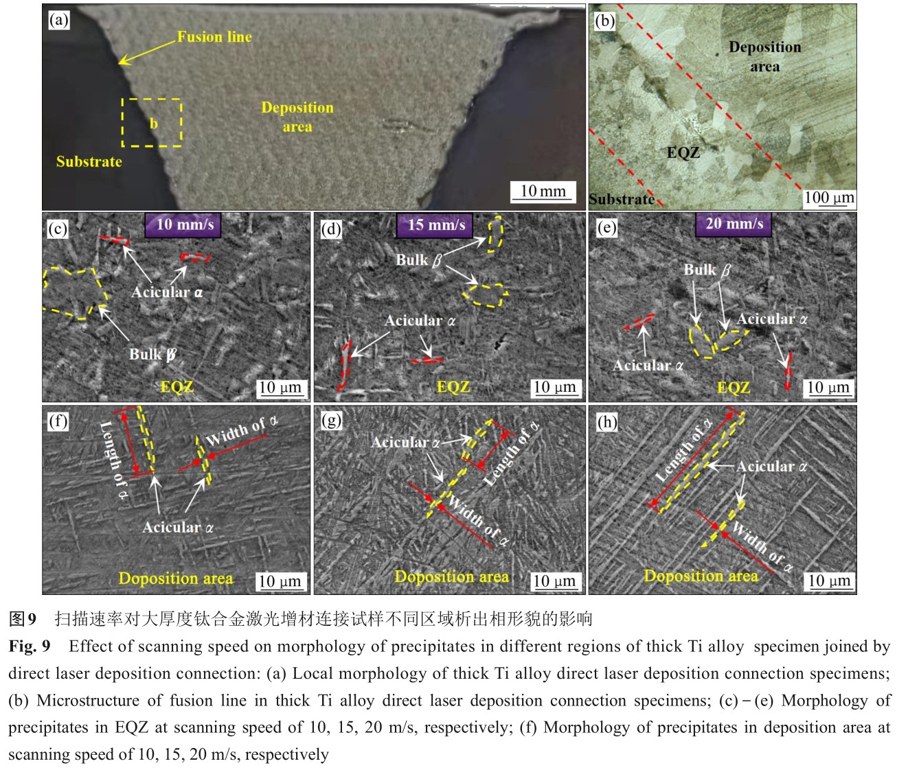 1725354995299556.jpg t9.jpg