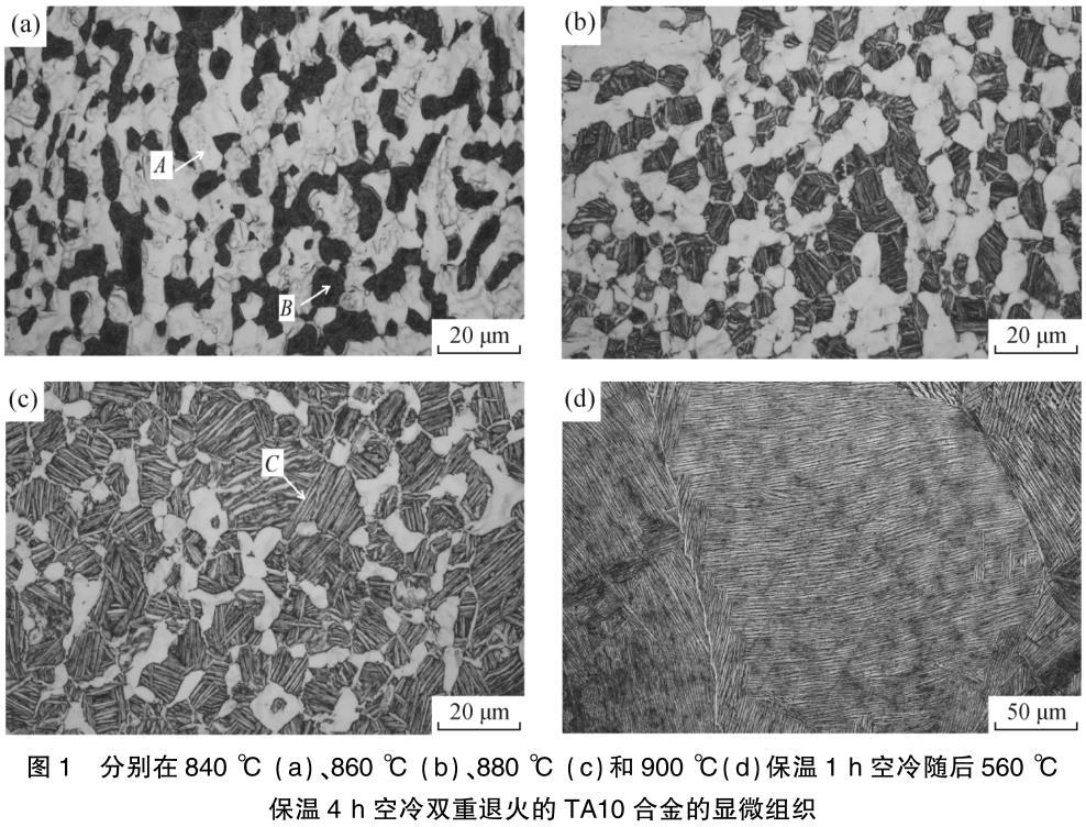1725377997392137.jpg 360截圖166710188012672.jpg