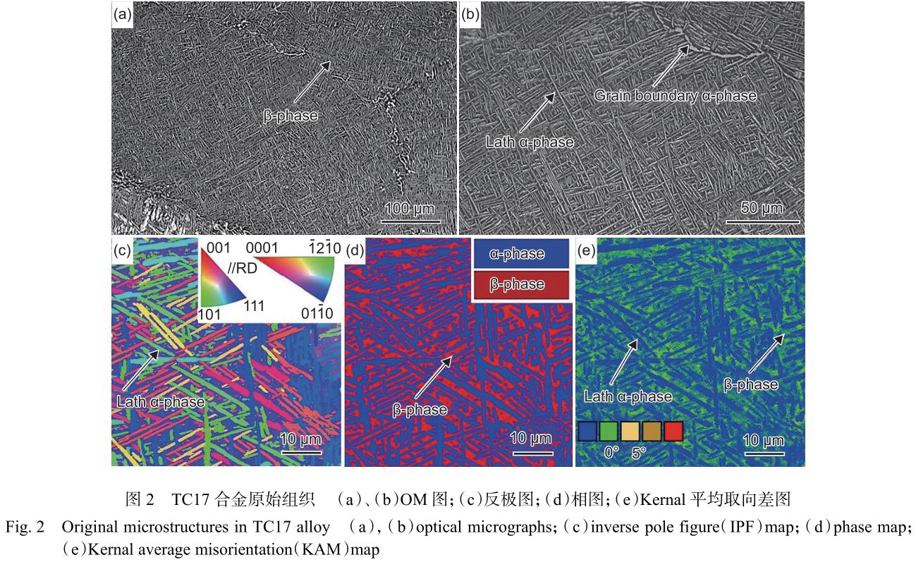 1699878476877917.jpg t2.jpg