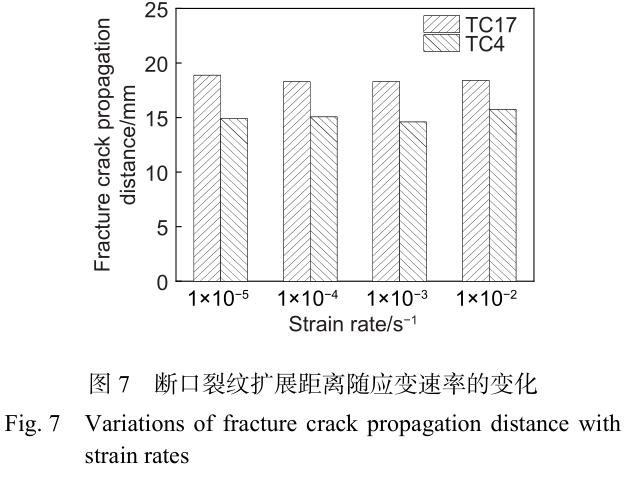 1699878630291302.jpg t7.jpg