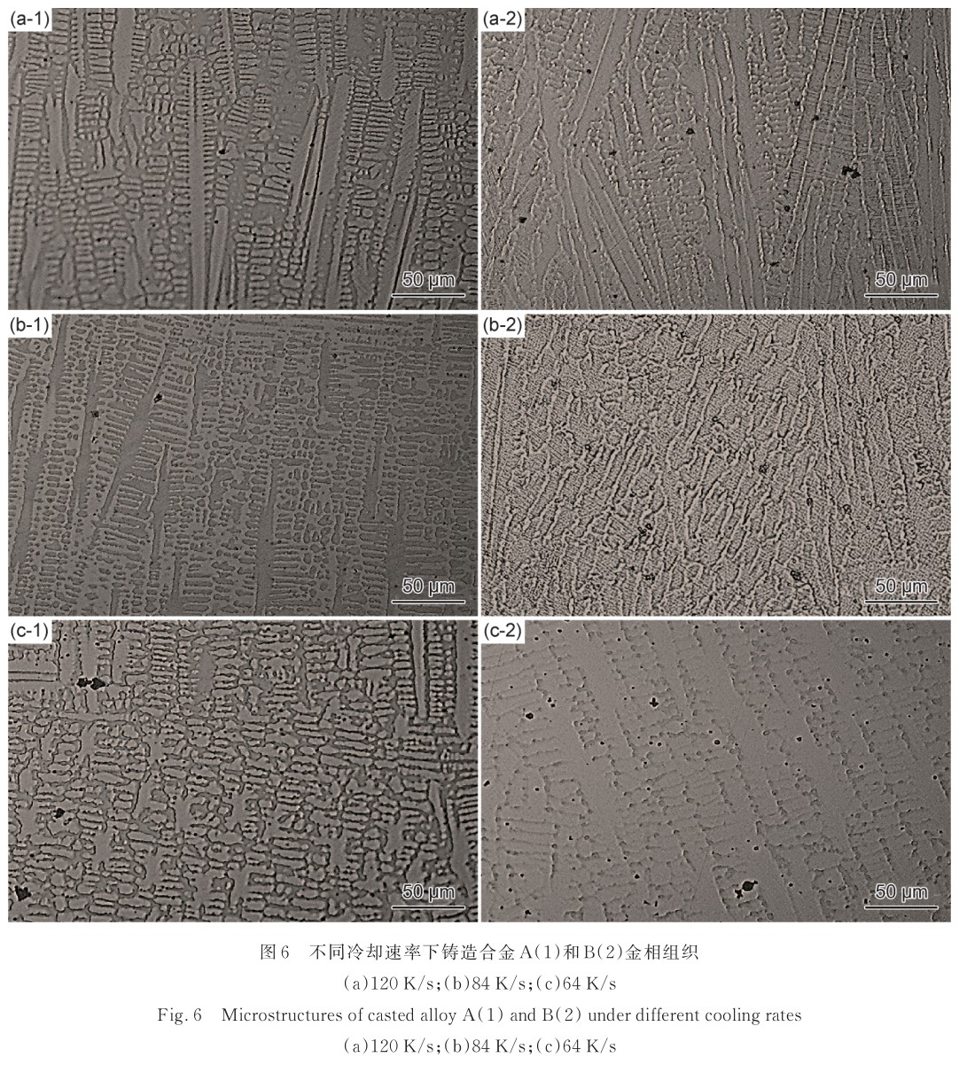 1725438267922676.jpg t6.jpg