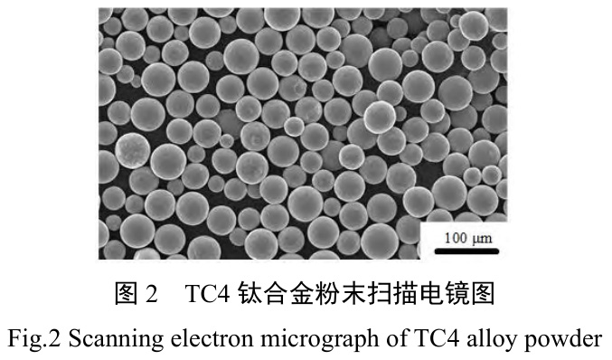 1727840720627952.jpg t2.jpg