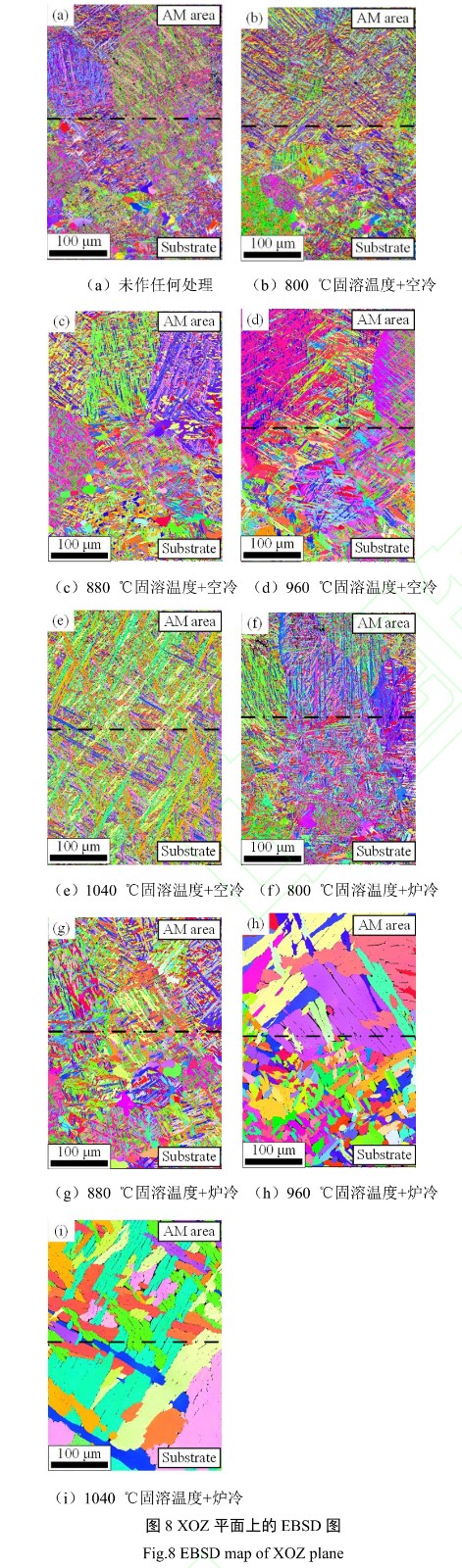 1727840840237365.jpg t8.jpg