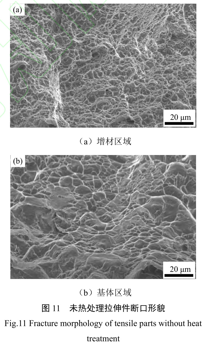 1727840858740097.jpg t11.jpg