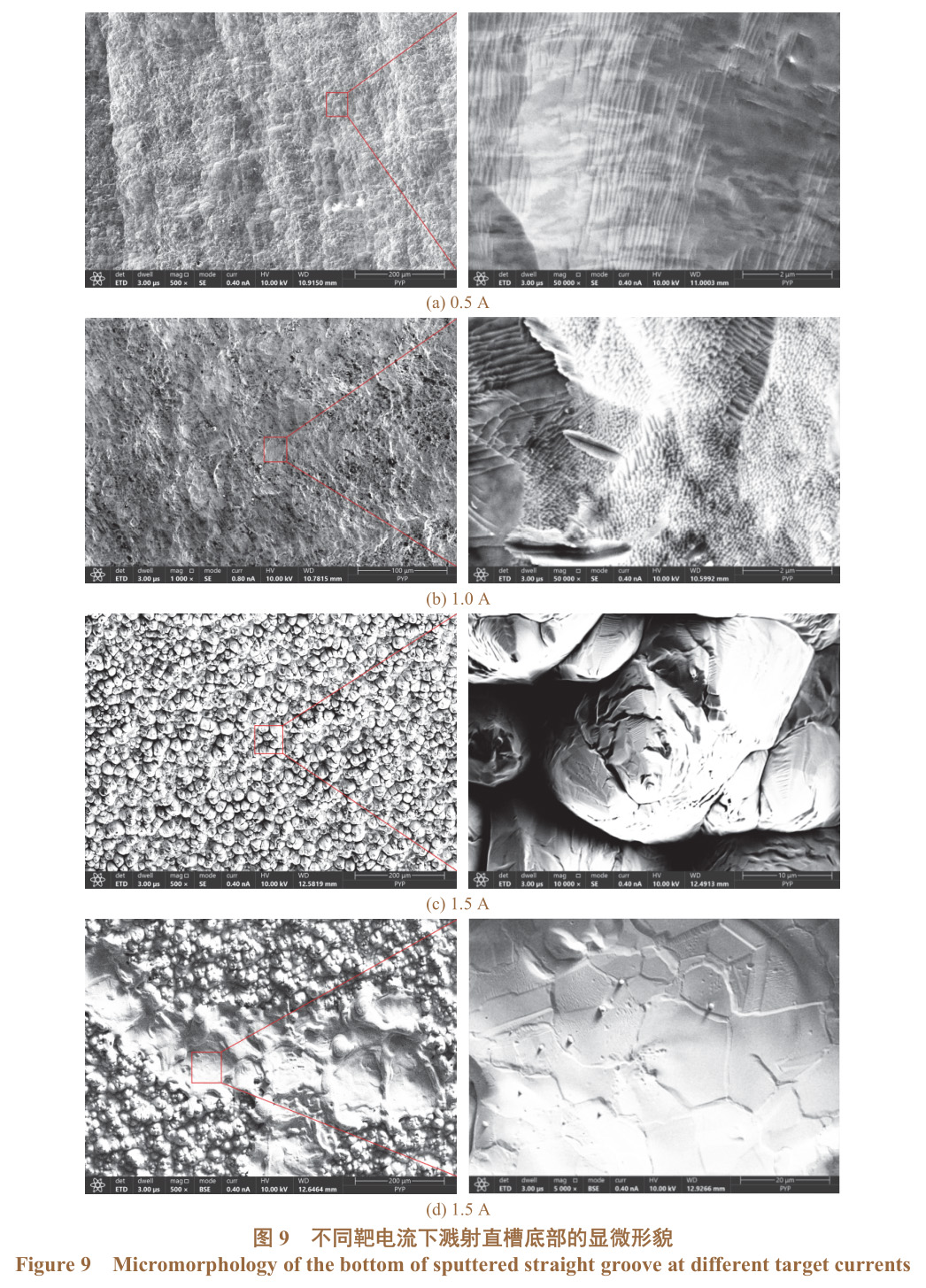 1730081022209547.jpg 9.jpg