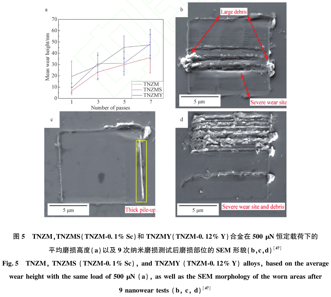 1731229017314438.jpg 5.jpg