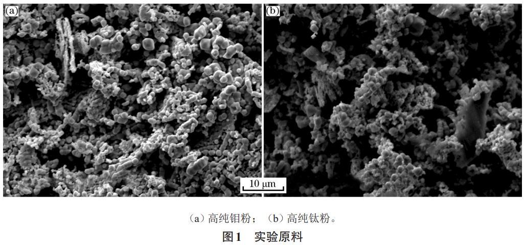 1734855561659451.png 1.png