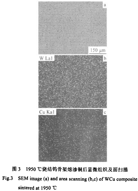 1734868914119519.png 3.png