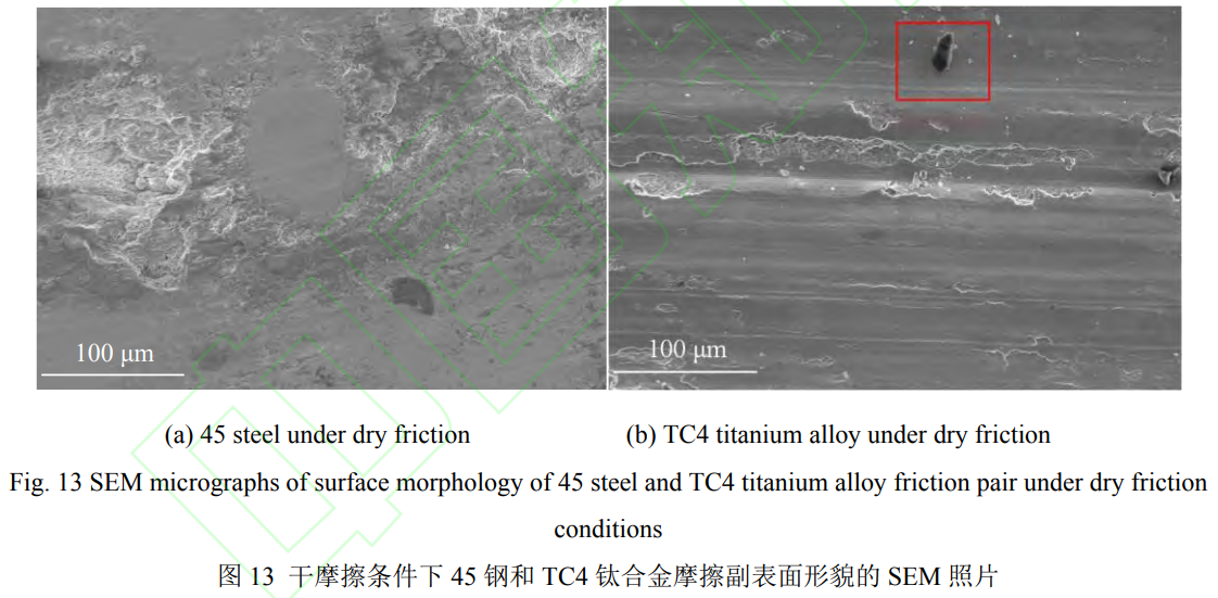 1739519543466851.png 13.png