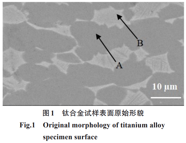 1739528953823711.png 截圖20250214182746.png